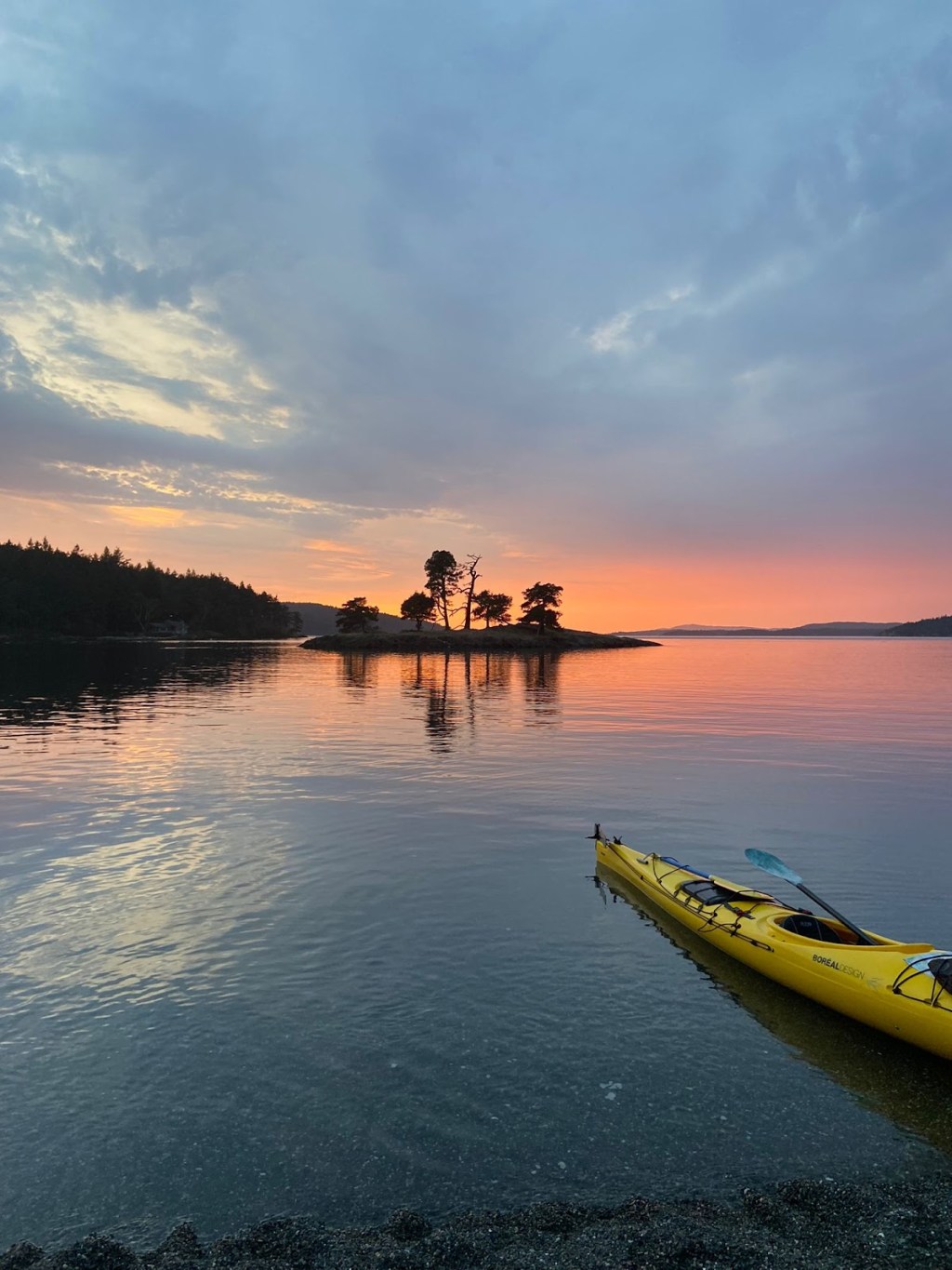 Exploring The Diverse Ecosystem Of The Salish Sea