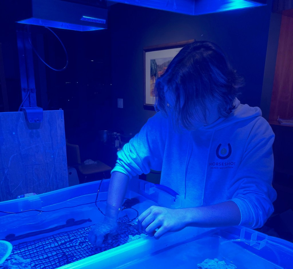 My Coral Reef Low Voltage Electrolytic Cell Aquarium Build